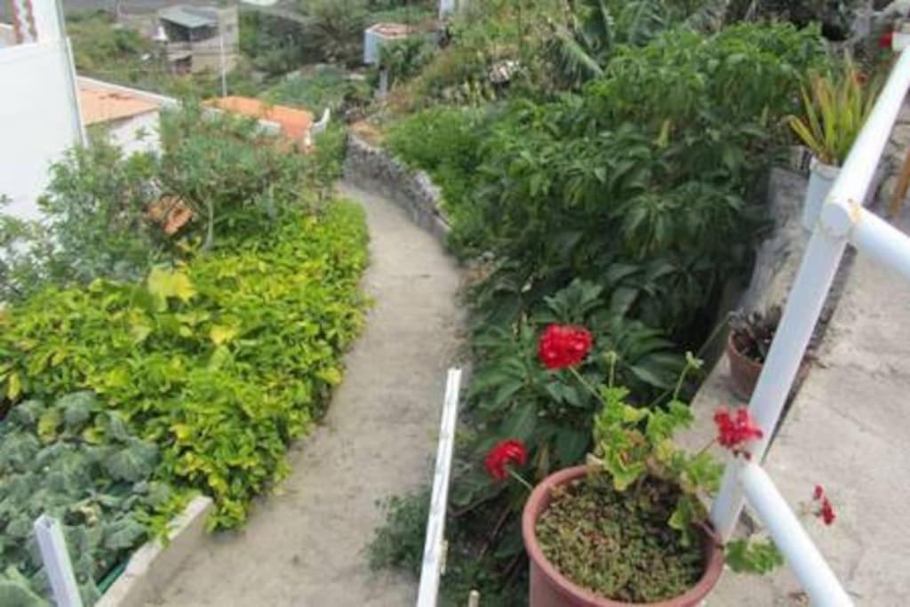 House Rural,Biosphere Reserve World.Taganana.Tfe. ซานตาครูซ เด เตเนริเฟ ภายนอก รูปภาพ